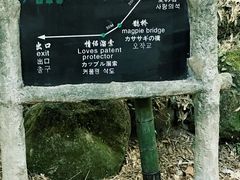 -黄山翡翠谷景区