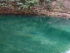 -白云源风景区