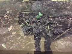 iphone_upload_pic-上海昆虫博物馆