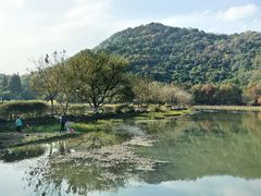 -八卦田遗址公园