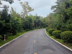 -东澳岛