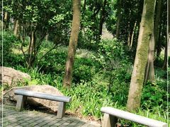 -广州市帽峰山景区