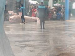 -海合安成都极地海洋公园