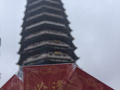 -红梅公园