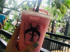 -TrueLove @ Neverland (Husky Cafe)