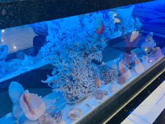 -新海渔港·胶东海鲜家常菜·家宴(奥体中心店)