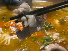-重庆何乌鱼(南湖逸家店)