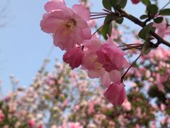 -杭州城北体育公园