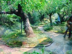 -Chom Cafe and Restaurant