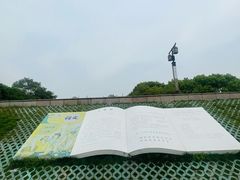 -观潮胜地公园