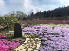 -棒棰岛宾馆景区