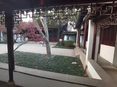 -枫桥夜泊