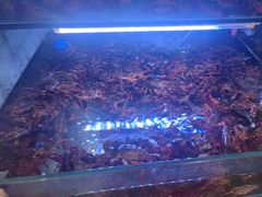 -虾铺子龙虾·私房菜(金源花苑店)
