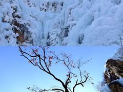 -沕沕水生态风景区