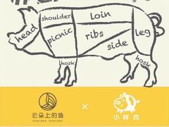 -云朵上的鱼(莘庄店)