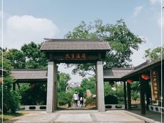 -大塘金香草谷