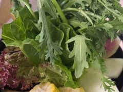 -凤园椰珍·椰子鸡火锅(番禺奥园广场店)