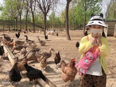 -甜心庄园·甜心草莓采摘园(西青中北店)