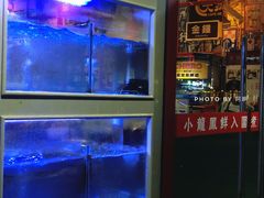 -小龍鳳·港式海鲜打边炉(沙湖路店)