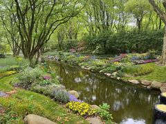 -上海共青森林公园