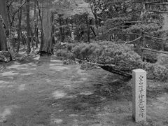-西芳寺(苔寺)