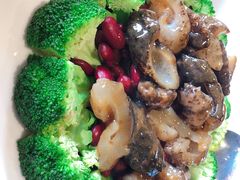 -顺德了能馆(虎门店)