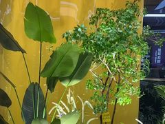 -栈逗电竞馆·胶囊房(萧山旺角城店)