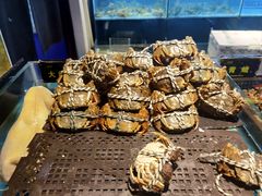 -九月海·海鲜自助(世纪东方店)