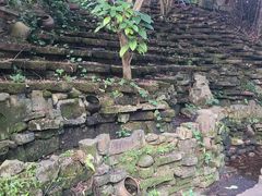 -老木棉·匠园