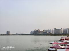 -九龙湖公园