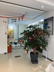 -黎蓓露·徒手骨雕蛋白抗衰·调肤管理