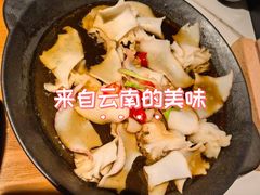 -芸山季·云南山珍菌火锅(南翔印象城MEGA店)