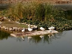 -北京天湖会议中心