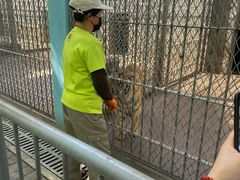 -西安秦岭野生动物园