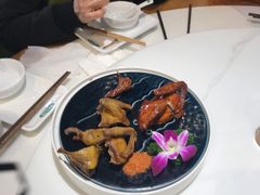 -大鸽饭(马王堆店)