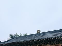 -江西龙虎山景区