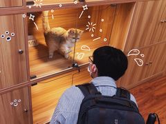 -猫十亿·布偶金渐层·曼基康矮脚猫舍(青年路店)