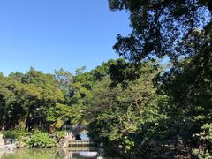 -荔湾湖公园