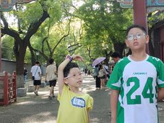 -北京国子监胡同