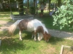 -瑞博尔花园酒店(太周创新产业园店)