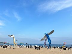 -大梅沙海滨公园