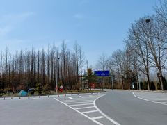 -日照海滨国家森林公园