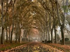 -河南省黄河迎宾馆