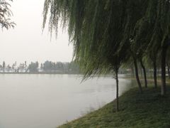 景点-石家庄市植物园