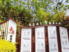 -空港花田景区
