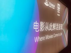-万达影城(汉街万达广场IMAX店)