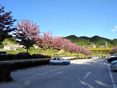 -王顺山国家森林公园