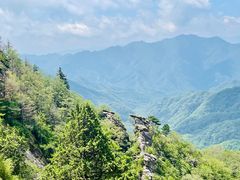 -朱雀国家森林公园