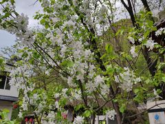 -百里山水画廊乌龙峡谷
