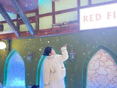-世界之窗阿尔卑斯冰雪世界